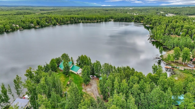 2643 S Rory Cir, Big Lake, AK 99654 - aerial view of a forest and a large body of water