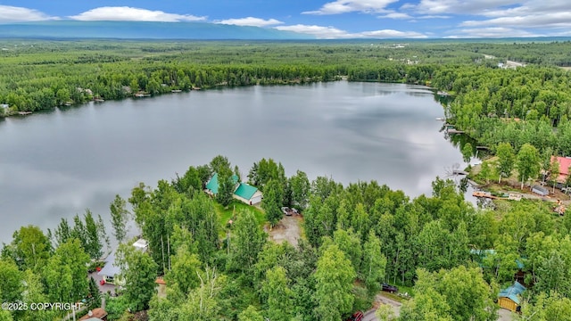 2643 S Rory Cir, Big Lake, AK 99654 - bird's eye view of a forest and a large body of water