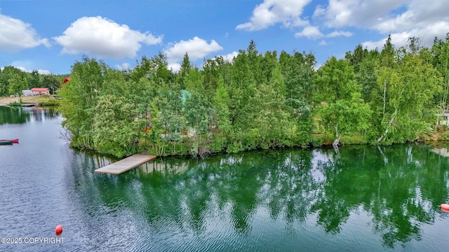 2643 S Rory Cir, Big Lake, AK 99654 - water view with a floating dock