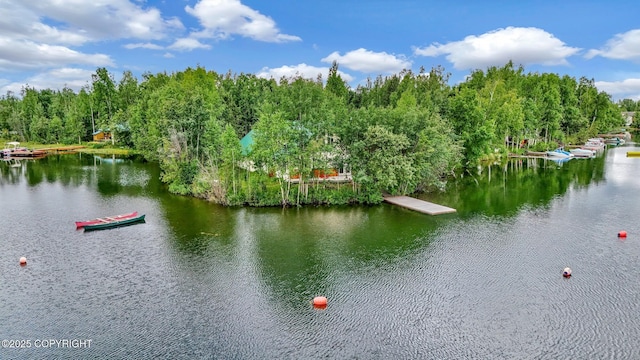 2643 S Rory Cir, Big Lake, AK 99654 - water view with a floating dock