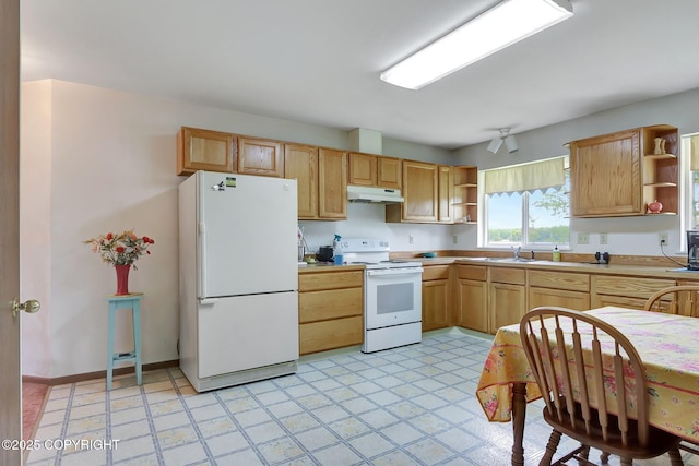 2643 S Rory Cir, Big Lake, AK 99654 - kitchen with open shelves, white appliances, under cabinet range hood, a sink, and light countertops