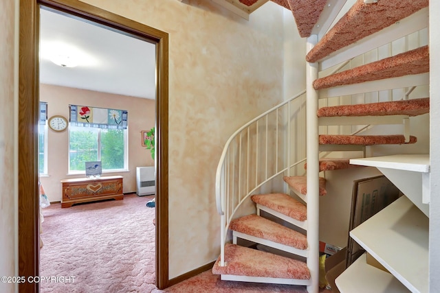 2643 S Rory Cir, Big Lake, AK 99654 - stairway featuring carpet floors and baseboards