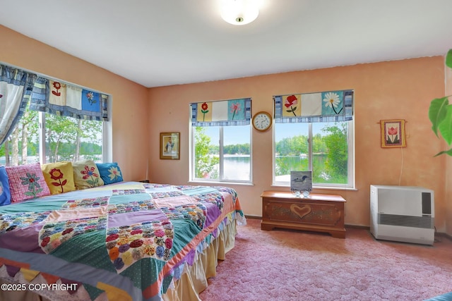 2643 S Rory Cir, Big Lake, AK 99654 - carpeted bedroom with multiple windows and heating unit