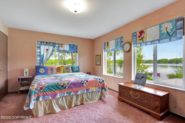 2643 S Rory Cir, Big Lake, AK 99654 - carpeted bedroom with a water view and baseboards