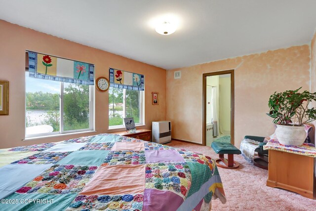 2643 S Rory Cir, Big Lake, AK 99654 - bedroom featuring carpet flooring