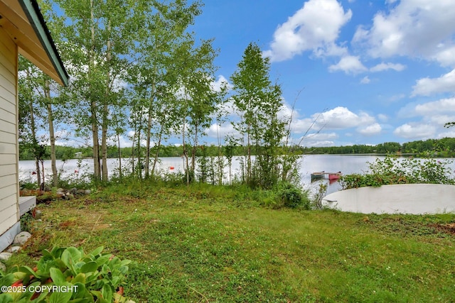 2643 S Rory Cir, Big Lake, AK 99654 - view of yard featuring a water view