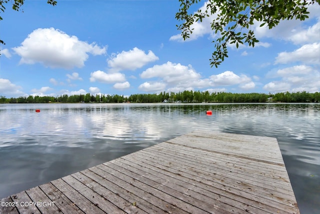 2643 S Rory Cir, Big Lake, AK 99654 - dock featuring a water view