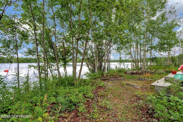 2643 S Rory Cir, Big Lake, AK 99654 - water view