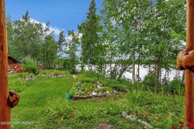 2643 S Rory Cir, Big Lake, AK 99654 - view of green lawn