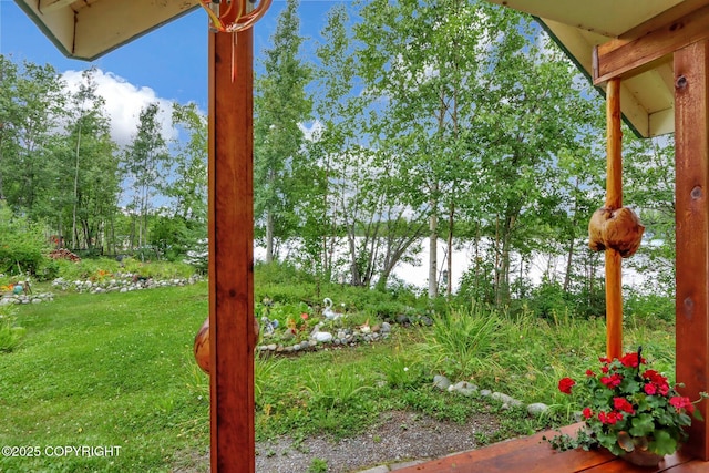 2643 S Rory Cir, Big Lake, AK 99654 - view of green lawn