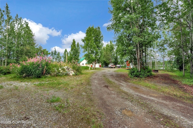 2643 S Rory Cir, Big Lake, AK 99654 - view of dirt / gravel road