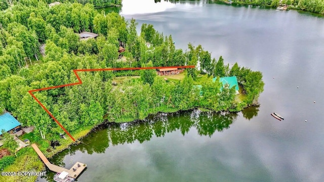 2643 S Rory Cir, Big Lake, AK 99654 - aerial view of property's location featuring a large body of water and property parcel outlined