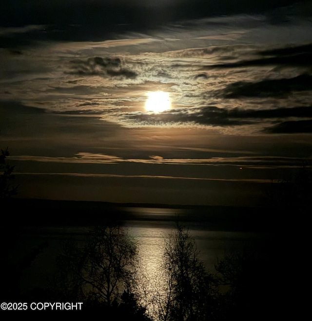 18627 Mountain Plover Cir, Anchorage, AK 99516 - water view
