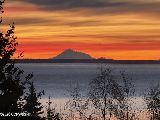 18627 Mountain Plover Cir, Anchorage, AK 99516 - water view with a mountainous background