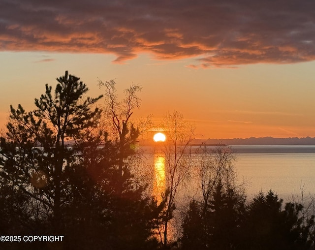 18627 Mountain Plover Cir, Anchorage, AK 99516 - water view