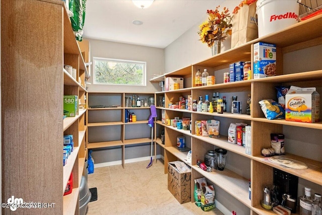 18627 Mountain Plover Cir, Anchorage, AK 99516 - view of pantry