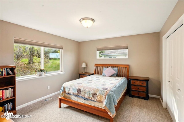 18627 Mountain Plover Cir, Anchorage, AK 99516 - bedroom featuring carpet and a closet