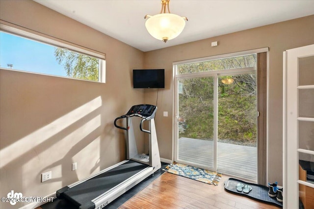 18627 Mountain Plover Cir, Anchorage, AK 99516 - workout room featuring wood finished floors and baseboards