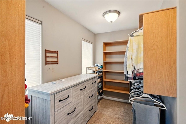 18627 Mountain Plover Cir, Anchorage, AK 99516 - walk in closet with carpet floors
