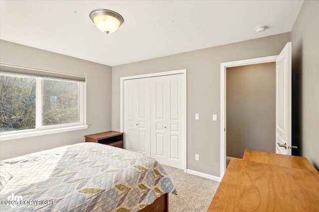18627 Mountain Plover Cir, Anchorage, AK 99516 - bedroom with carpet floors and a closet