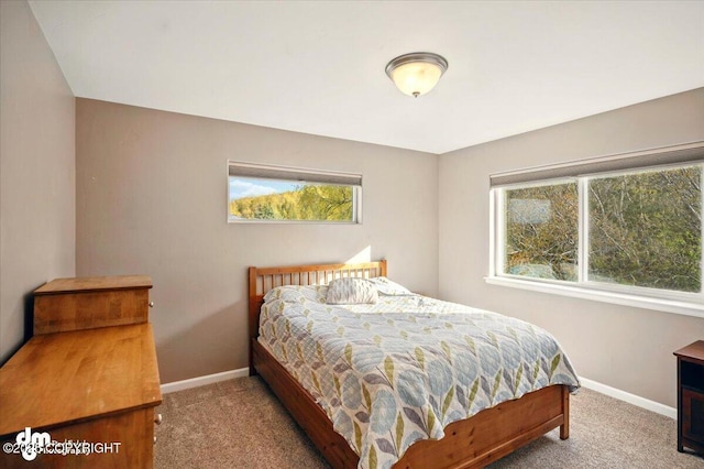 18627 Mountain Plover Cir, Anchorage, AK 99516 - bedroom with carpet