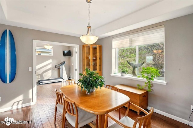 18627 Mountain Plover Cir, Anchorage, AK 99516 - dining area featuring wood finished floors and a tray ceiling