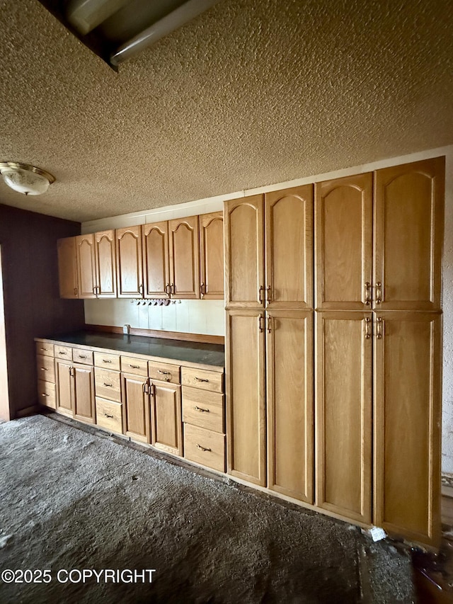 kitchen with dark colored carpet, a textured ceiling, and dark countertops
