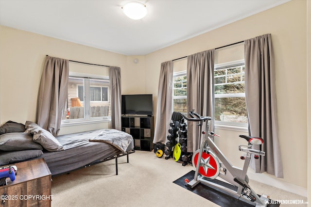 bedroom with carpet floors