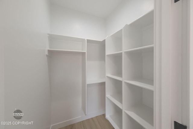 spacious closet featuring light wood finished floors