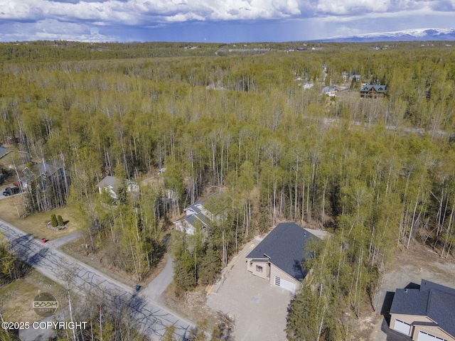 drone / aerial view of a forest