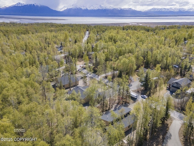 aerial view of property and surrounding area featuring a heavily wooded area and a mountain backdrop