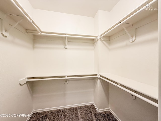 walk in closet featuring carpet flooring