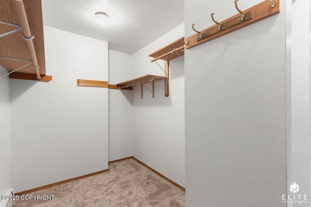 walk in closet with light colored carpet
