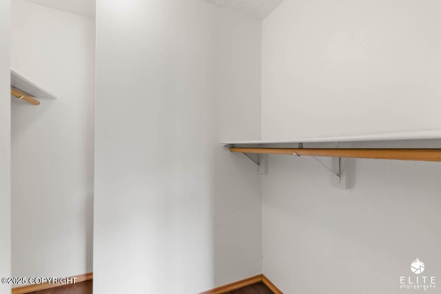 walk in closet featuring wood finished floors