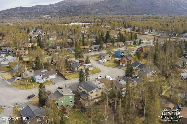drone / aerial view featuring a view of trees, a residential view, and a mountain view