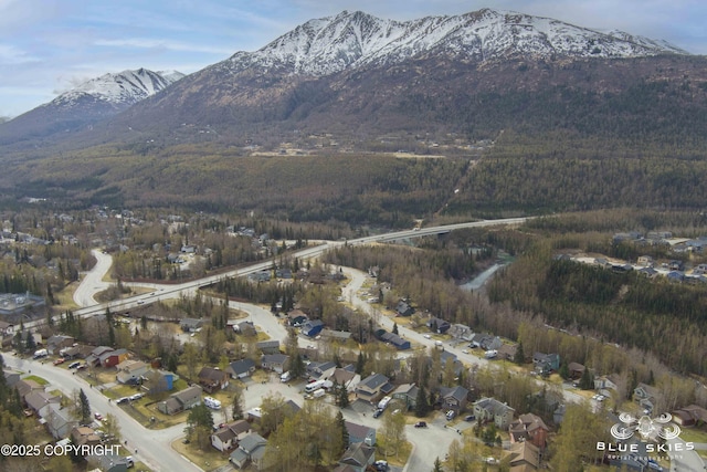 birds eye view of property featuring a residential view, a mountain view, and a view of trees