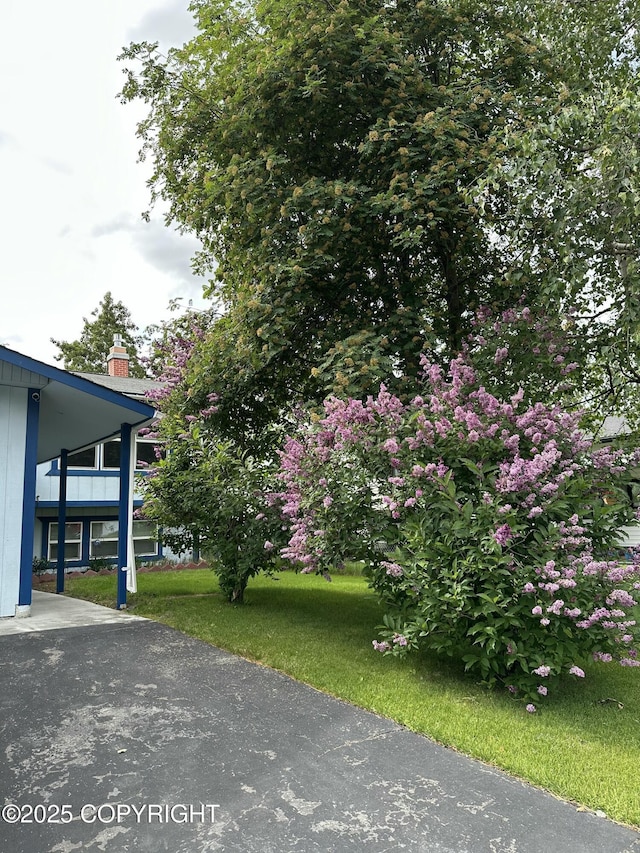 3520 Glenn-Don Cir, Anchorage, AK 99504 - view of green lawn