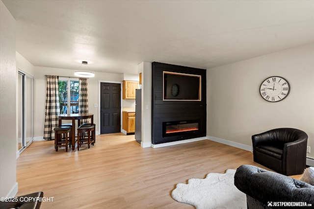 3722 E 19th Ave, Anchorage, AK 99508 - living area featuring light wood-style flooring and a fireplace