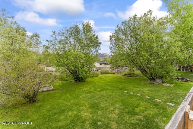 3921 Patricia Ln, Anchorage, AK 99504 - view of yard