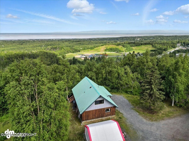 22032 Spring Creek Ln, Chugiak, AK 99567 - bird's eye view of a forest