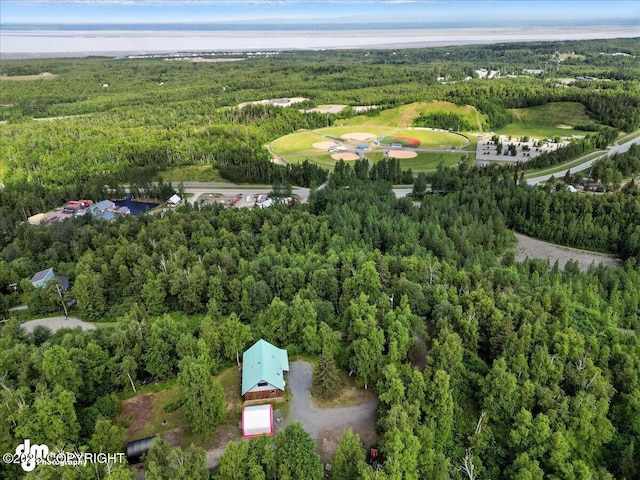 22032 Spring Creek Ln, Chugiak, AK 99567 - aerial view of property's location with a forest