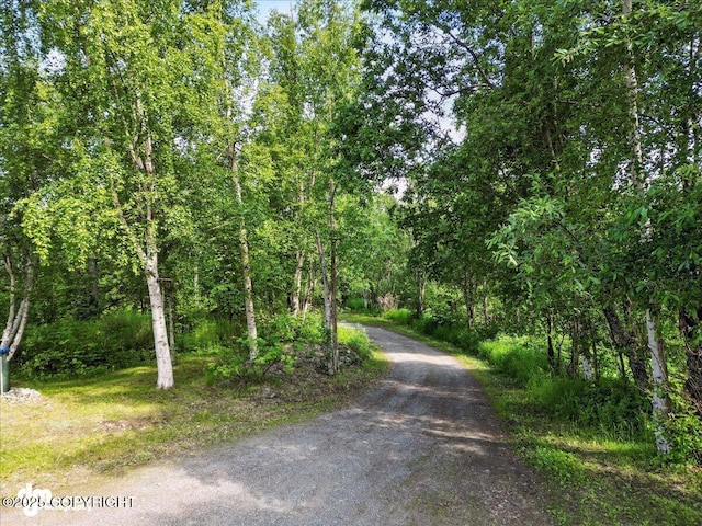 22032 Spring Creek Ln, Chugiak, AK 99567 - view of road featuring a view of trees