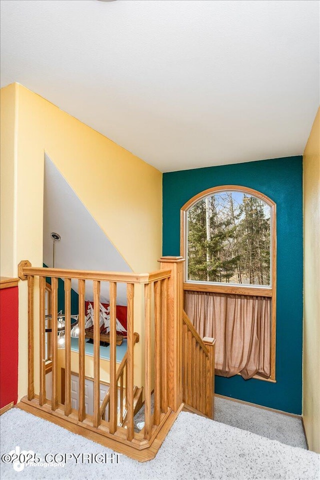 stairway featuring carpet