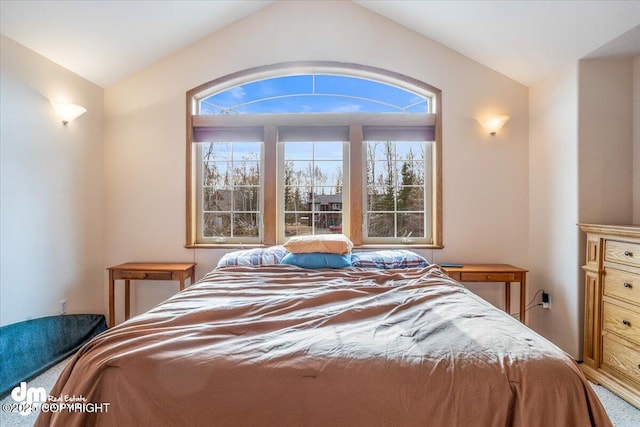 carpeted bedroom featuring vaulted ceiling
