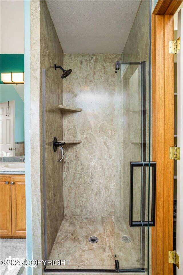 bathroom with vanity and a shower stall