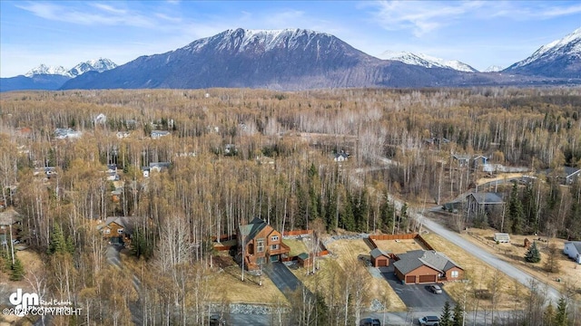 view of mountain feature with a view of trees