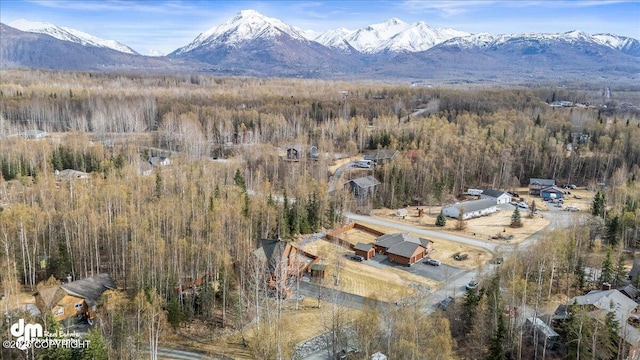 birds eye view of property with a mountain view and a forest view