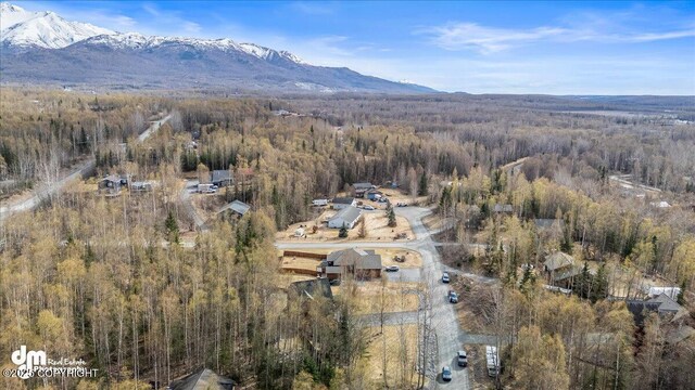 birds eye view of property featuring a mountain view and a forest view