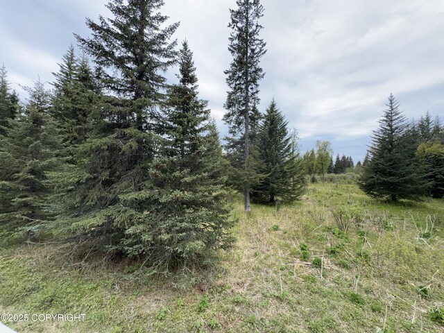 67461 Kiana Dr, Ninilchik, AK 99639 - photo 3
