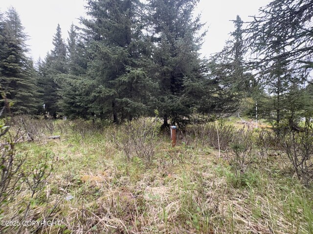 67461 Kiana Dr, Ninilchik, AK 99639 - photo 4